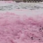 पटना की पुनपुन नदी में गुलाबी जहरीला झाग