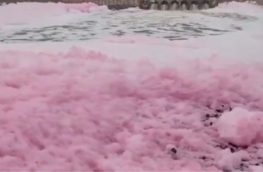 पटना की पुनपुन नदी में गुलाबी जहरीला झाग
