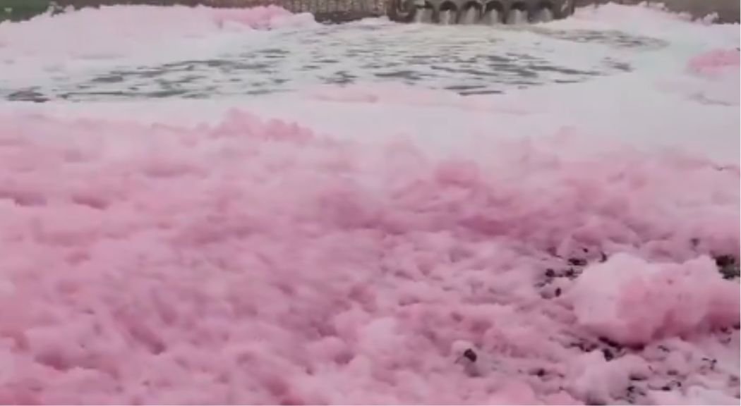 पटना की पुनपुन नदी में गुलाबी जहरीला झाग